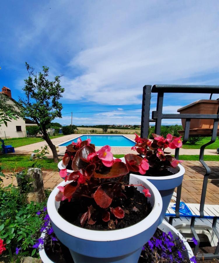 Holiday House Sweet Home Umag Ngoại thất bức ảnh